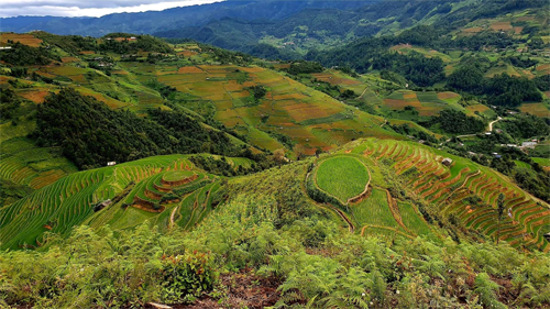 Terrassenfelder-im-Norden-von-Vietnam-500x300
